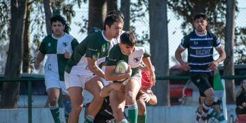 Los Hurones Arroyito