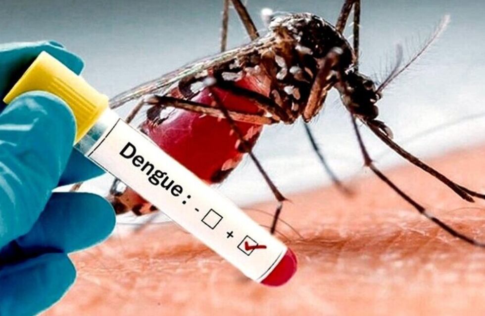 Controlaron dos casos de dengue en Punta Alta