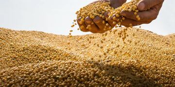 Preocupa la sequía para la recaudación de dólares.