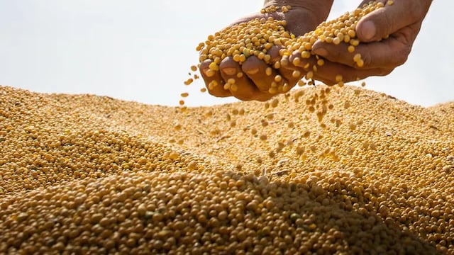 Preocupa la sequía para la recaudación de dólares.