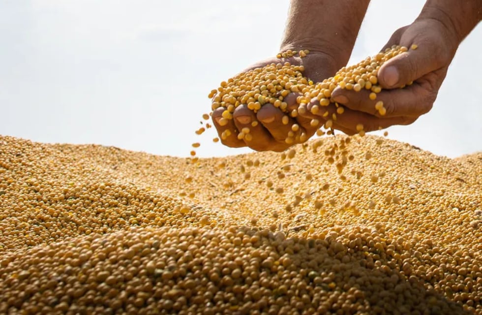Las condiciones climáticas y financieras pueden forzar la continuidad del dólar soja