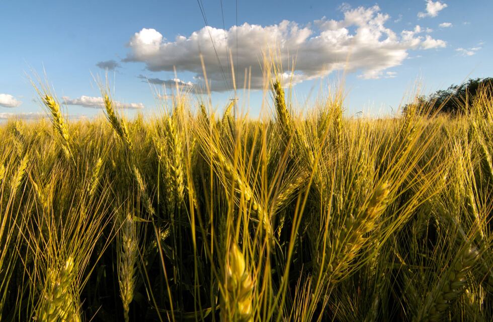 Entidades rurales de Córdoba se suman a la marcha al Congreso nacional