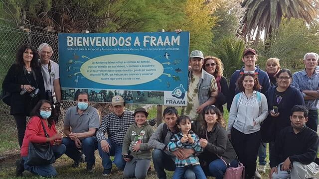 Observación de aves en Villa del Mar
