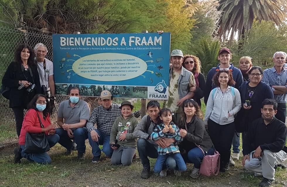 Observación de aves en Villa del Mar