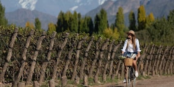Las bodegas del mundo están en Mendoza y participan del World’s Best Vineyards.