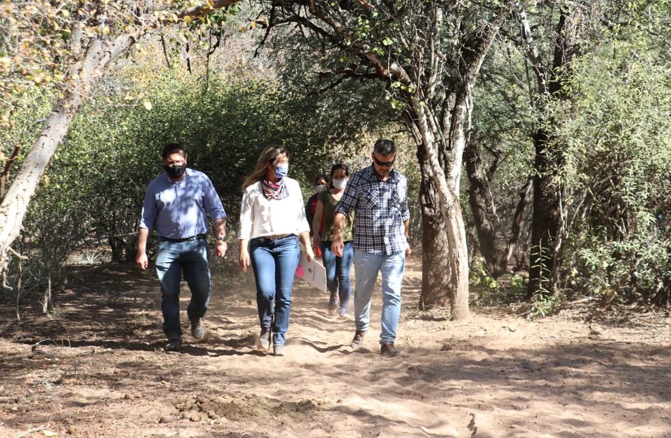 El Sauzalito: el Gobierno del Chaco trabaja para detener desmontes ilegales