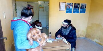 Veterinaria de San Rafael suspendió las actividades por un caso de coronavirus.