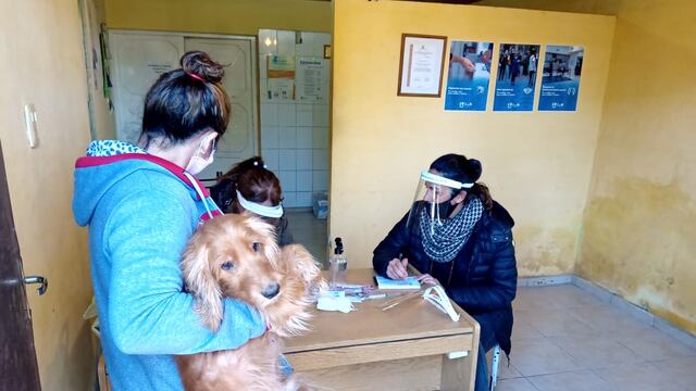 Veterinaria de San Rafael suspendió las actividades por un caso de coronavirus.