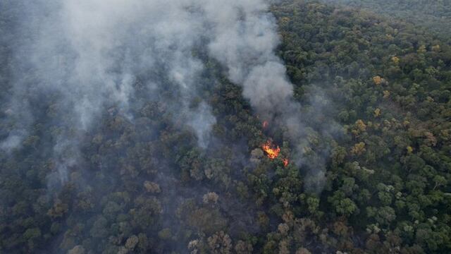 Uno de los focos de los incendios que afectan la selva misionera es en la reserva de la UNaM en El Soberbio, en áreas de la Biósfera Yabotí