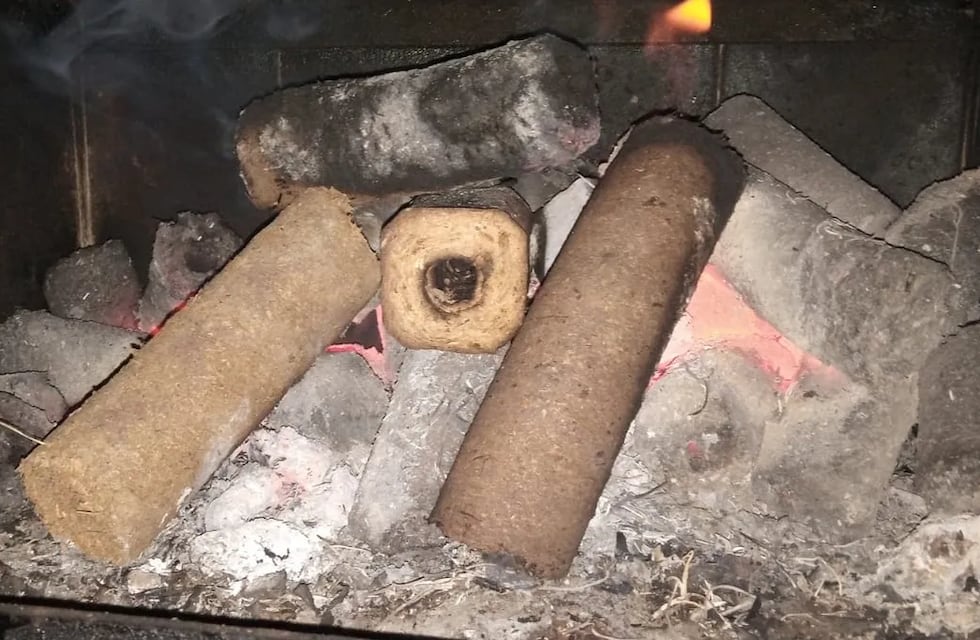 Miguel, el mendocino que fabrica leña ecológica para luchar contra la deforestación y cuidar el planeta