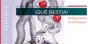 Muestras de verano en el Museo Mulazzi