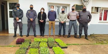 Hicieron entrega de plantines a la Unidad Penitenciaria III de Eldorado.