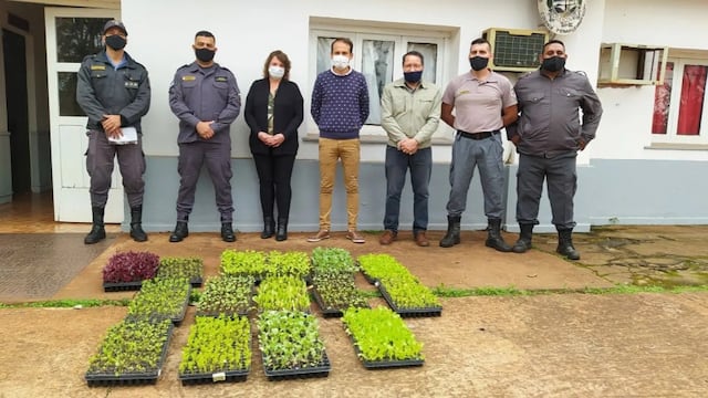 Hicieron entrega de plantines a la Unidad Penitenciaria III de Eldorado.