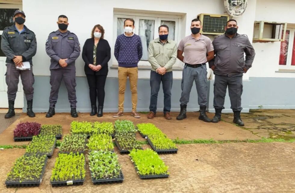 Hicieron entrega de plantines a la Unidad Penitenciaria III de Eldorado