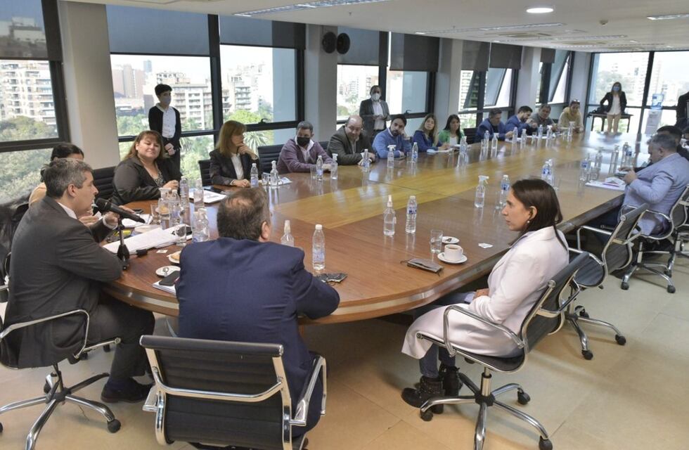 Análisis de la Comisión Redactora del Nuevo Código Procesal de Familia