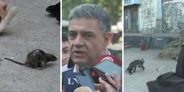 Una rata causó pánico en plena conferencia de Jorge Macri y el video se hizo viral.