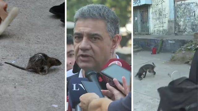 Una rata causó pánico en plena conferencia de Jorge Macri y el video se hizo viral.