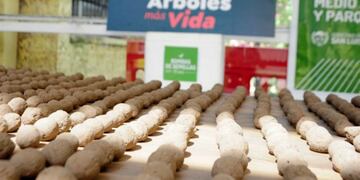 Las bombas de semillas son preparadas para luego ser lanzadas por avión a las zonas desérticas y de difícil acceso para forestar los terrenos. Fuente ASL