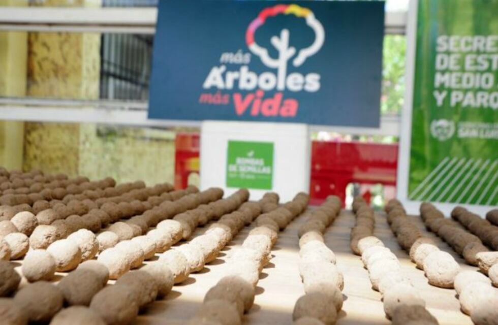 Las bombas de semillas, un proyecto ambiental que llena de vida la Cuenca del Morro