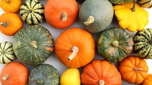 Los beneficios ocultos de la calabaza