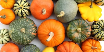 Los beneficios ocultos de la calabaza