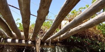 El fallecido fue identificado como Antonio Ponce, de 67 años.