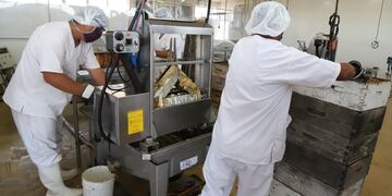 Entre diciembre de 2020 y enero 2021 los apicultores procesaron cinco toneladas de miel.