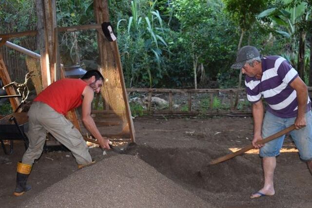 Creación del abono sin productos químicos