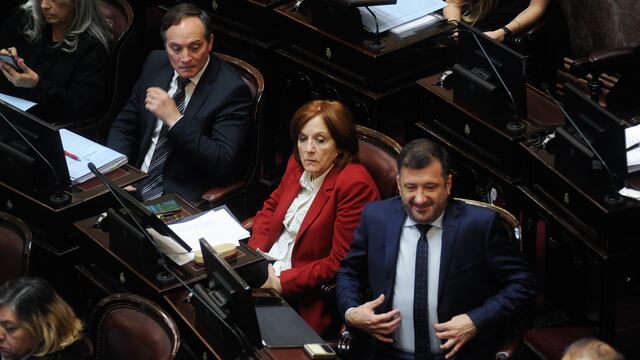 Edgardo Kueider en su banca de senador junto a Alejandra Vigo y "Camau" Espínola (Foto: Federico López Claro)