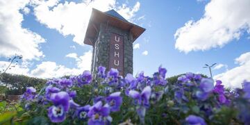 Nuevas flores de temporada