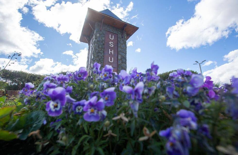 Ushuaia: La ciudad se llena de color con las nuevas flores de la temporada