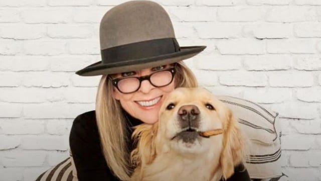 Diane Keaton le dejó una herencia millonaria a su perro: de cuánto es y qué pasará con su mascota