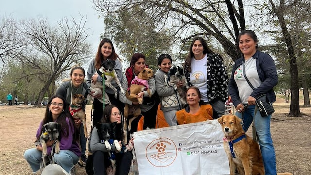 La organización cuenta con 21 voluntarios que aportan tiempo y dinero para el cuidado de las mascotas.