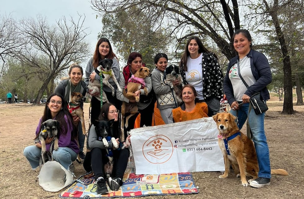Milagros Perrunos, el refugio cordobés que pide ayuda para no dejar “en la calle” a mascotas rescatadas