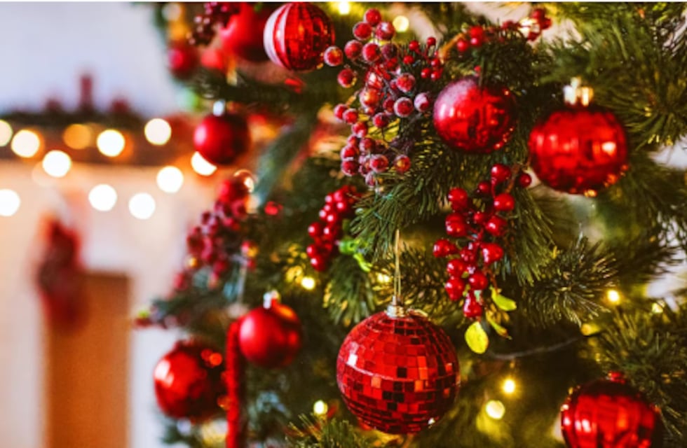 Un productor agropecuario cordobés armó un ingenioso árbol de Navidad que fue furor en Morrison