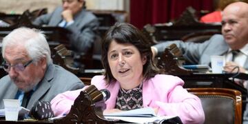 La diputada entrerriana Carolina Gaillard, presidenta de la Comisión de Juicio Político. Foto: Corresponsalía.