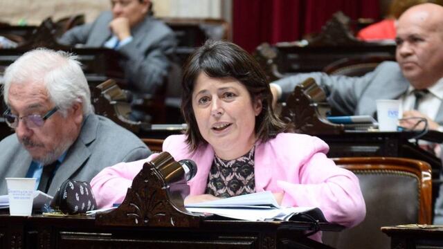 La diputada entrerriana Carolina Gaillard, presidenta de la Comisión de Juicio Político
