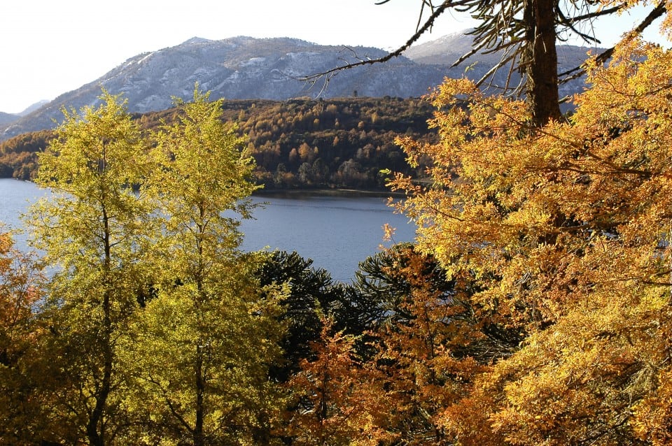 El recorrido por el circuito de los Siete Lagos permite descubrir paisajes únicos y miradores privilegiados en la Ruta Nacional N°40.
