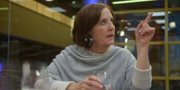 La diputada Alejandra Vigo quiere garantizar el beneficio a los trabajadores temporarios y que no se caiga al finalizar el vínculo laboral.