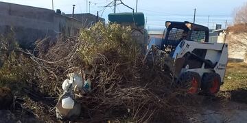 Higiene Urbana: resumen semanal