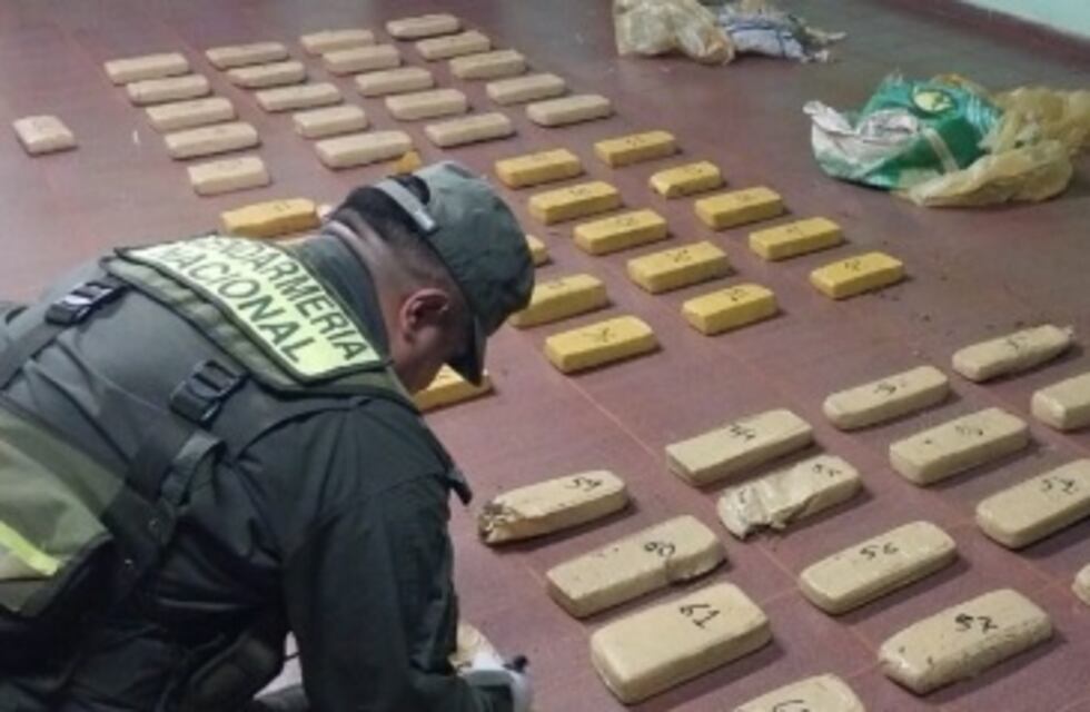 Descubren cargamento de marihuana oculto en Puerto Esperanza