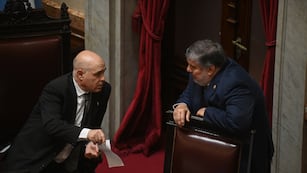 El presidente provisional del Senado, Bartolomé Abdala, y el jefe de Unión por la Patria, José Mayans (Gentileza Clarín)