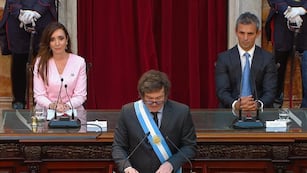 Javier Milei en su discurso en el Congreso. (Captura)