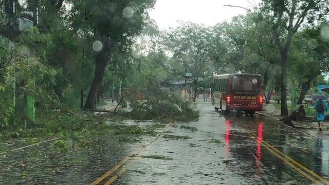 Fuerte temporal azotó a la zona Norte provincial ocasionando varios destrozos en Puerto Iguazú.