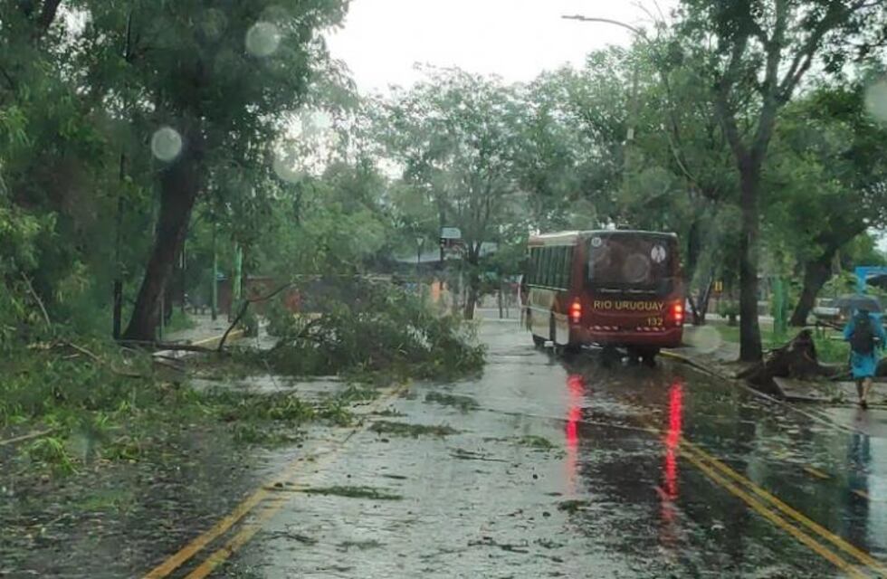 Fuerte temporal azotó a la zona Norte provincial ocasionando varios destrozos en Puerto Iguazú