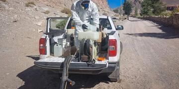 Se realizaron labores de fumigación, control y prevención de plagas.