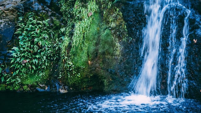 Salto de aguas cristalinas en Santa Rosa de Calamuchita.