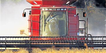 Se esperan menores rendimientos para la soja en el cinturón agrícola (AP).