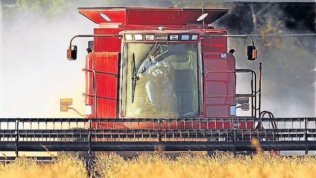 Se esperan menores rendimientos para la soja en el cinturón agrícola (AP).