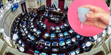 Aprobaron la ley de gestión menstrual sostenible en San Luis.